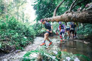 BIB: 
                            <button type="button" onclick="openModal(25450333)" class="btn btn-primary btn-sm float-right btn-popup" data-toggle="modal" data-target=".modal-high-quality">
                        <i class="fas fa-shopping-cart"></i> Add to Cart
                    </button>
                                            <button type="button" onclick="isThisMe(25450333, true)" class="btn btn-success btn-sm float-right btn-popup btn-isme hidden" data-toggle="tooltip" data-placement="bottom" title="นี่คือรูปของคุณใช่ไหม คลิกที่นี่เพื่อเอาเข้าอัลบั้ม">
                        <i class="fas fa-plus"></i> Add to album
                    </button>
                    <button type="button" onclick="isThisMe(25450333, false)" class="btn btn-warning btn-sm float-right btn-popup btn-isnotme hidden">
                        <i class="fas fa-ban"></i> Remove from album
                    </button>